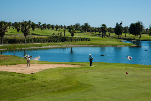 golf.jpg